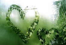 哪个快递可以寄活禽?