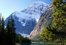 哪个快递可以寄活禽?